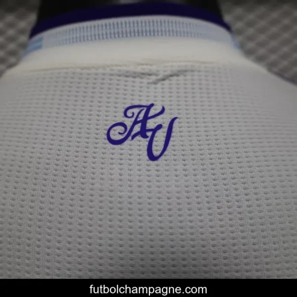 Player Version 25_26 Aston Villa Third Jersey - Image 2