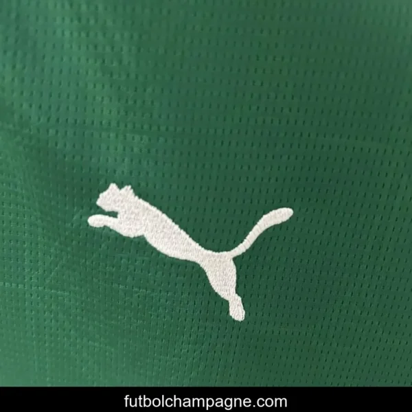 25_26 Women Palmeiras Home Jersey - Image 2