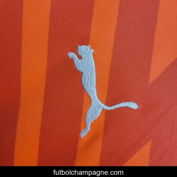 24_25 Palmeiras Orange Goalkeeper - Image 3