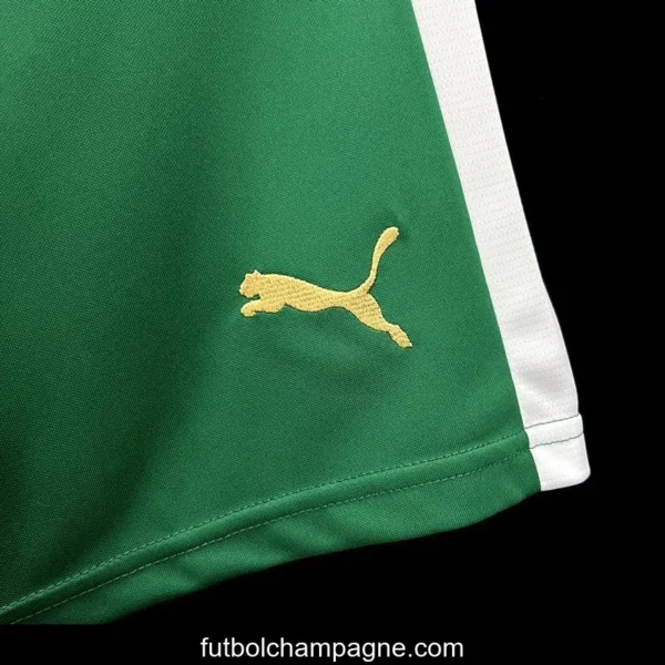 24_25 Palmeiras Away Green Shorts - Image 4