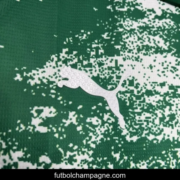 24_25 Palmeiras Special Edition White And Green Jersey - Image 10