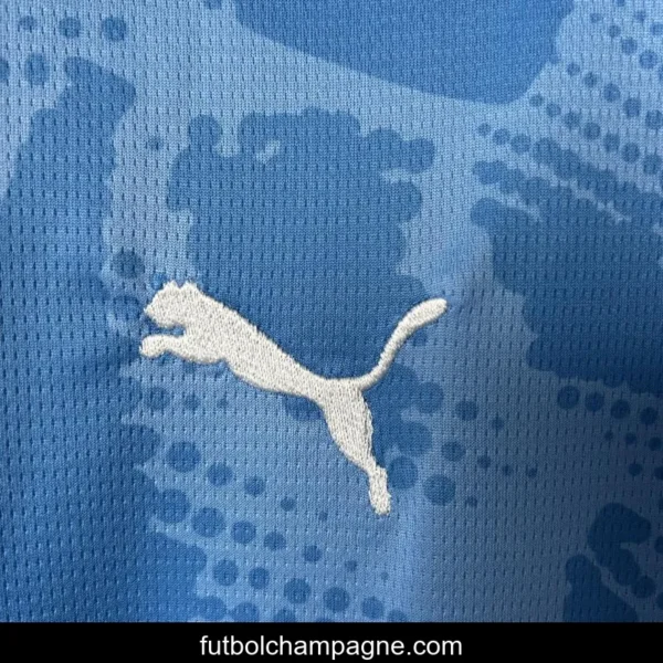 25_26 Palmeiras Goalkeeper Blue Jersey - Image 9