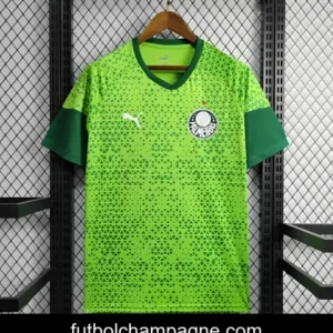 24_25 Palmeiras Green Training Jersey